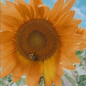 Meet your Posher, Audrey